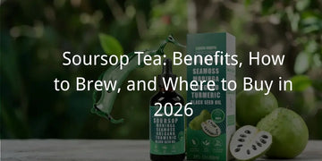 Soursop Tea: Benefits, How to Brew, and Where to Buy in 2026